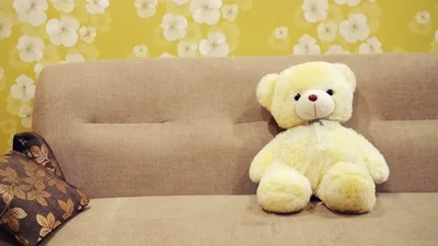 ours en peluche