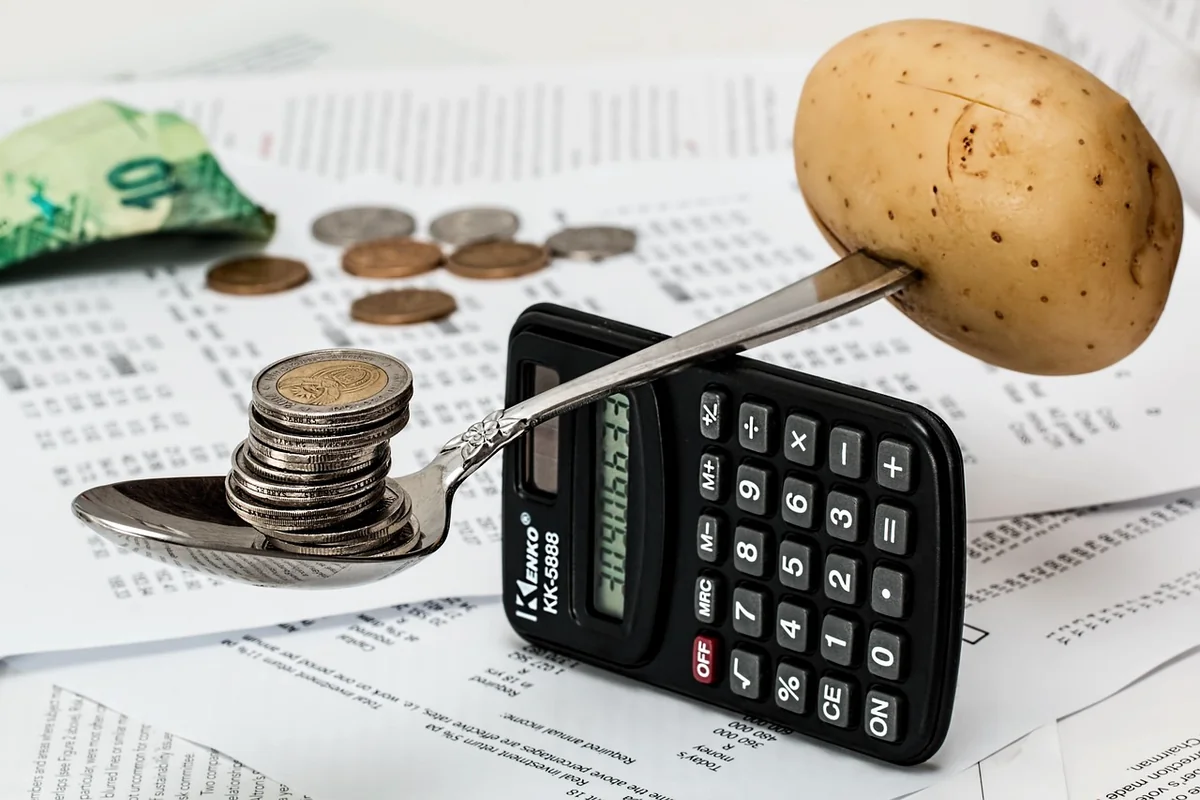 Stratégie d'achat : comment optimiser votre budget